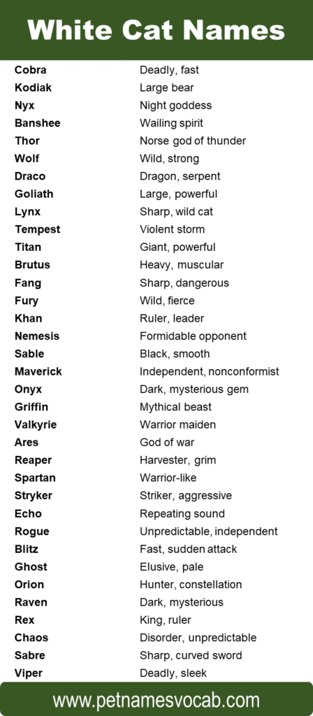 unique-names-for-pet-cat-with-meaning-pet-names-vocab