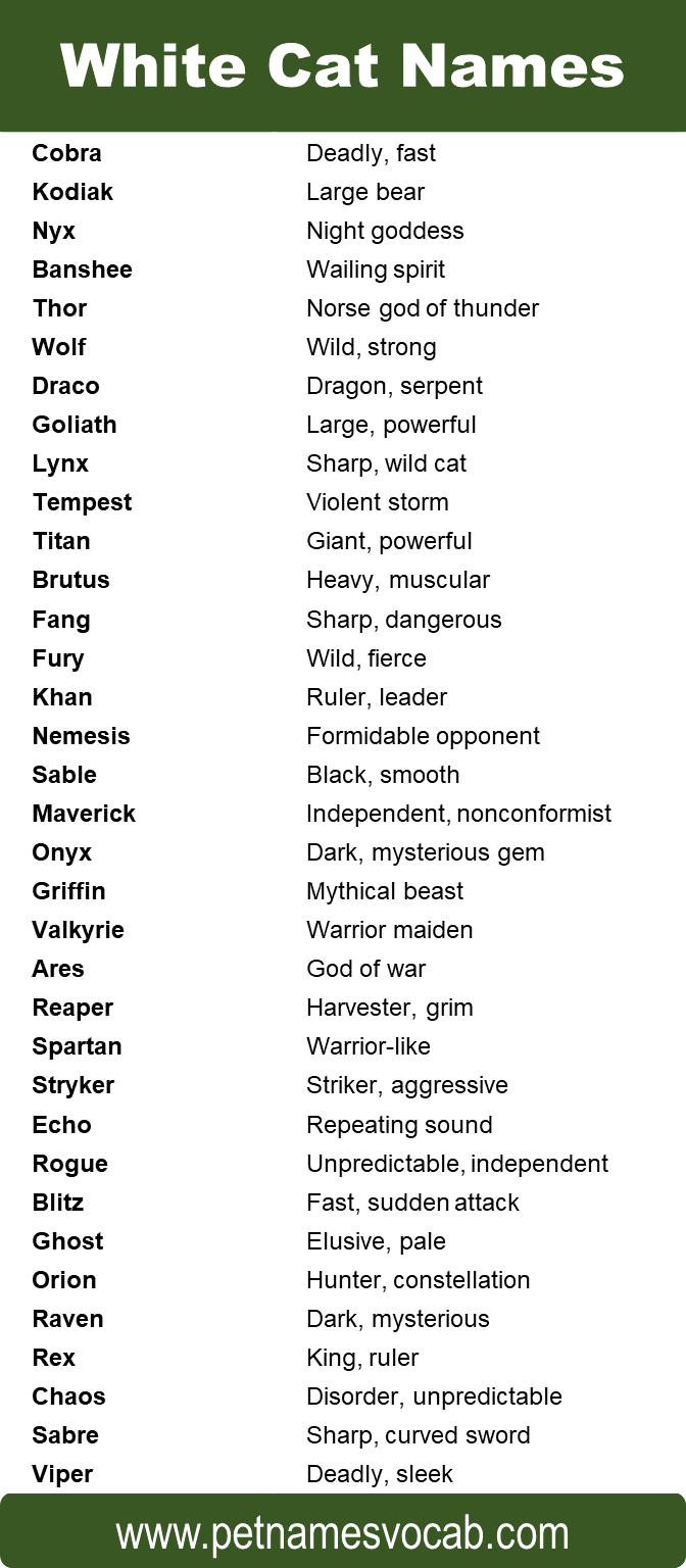Names for White Cat