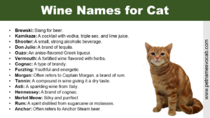 Wine Names for Cats