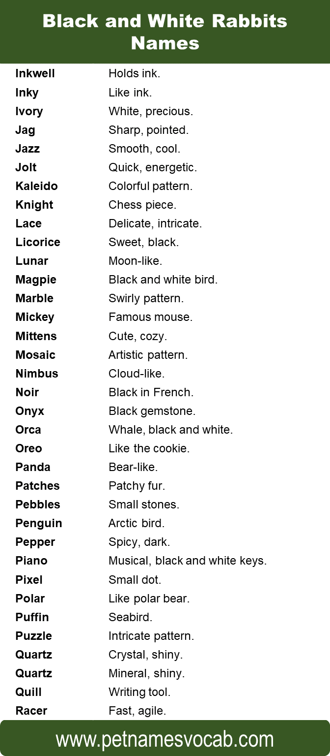 black and white rabbit names