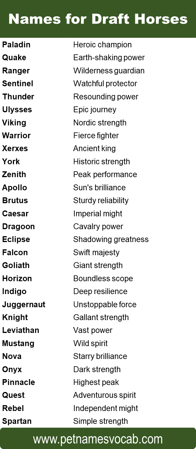 draft horse names