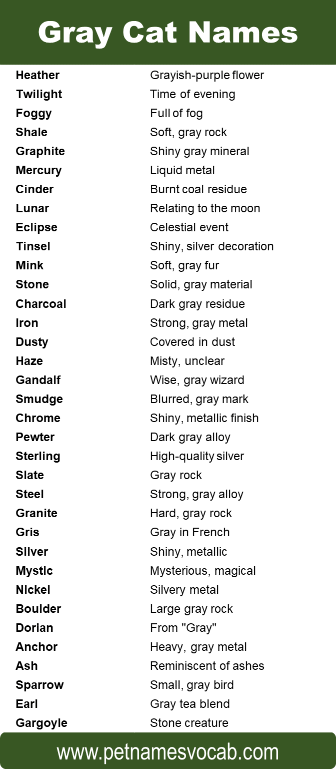names for gray cats