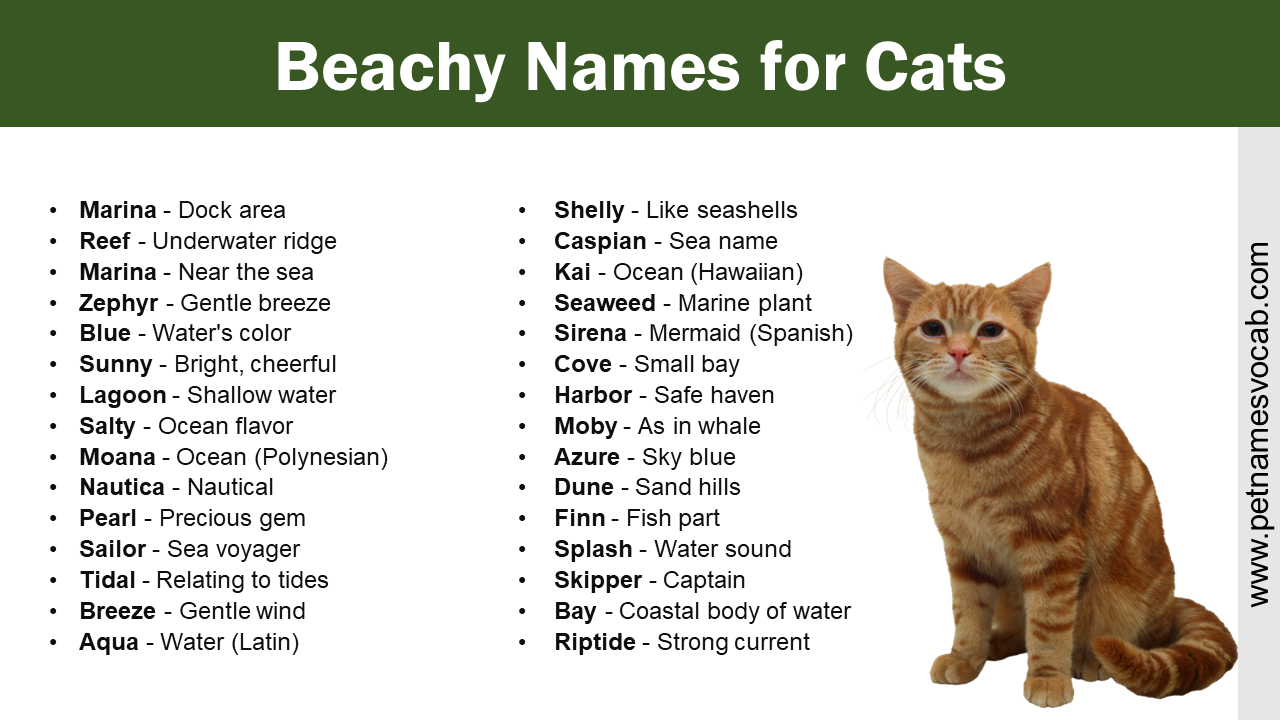 Beachy Names for Cats