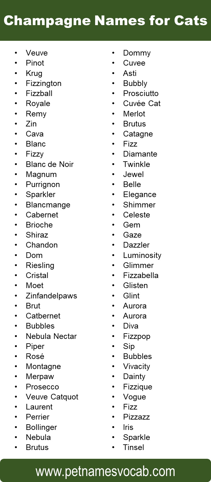 Champagne Names for Cats