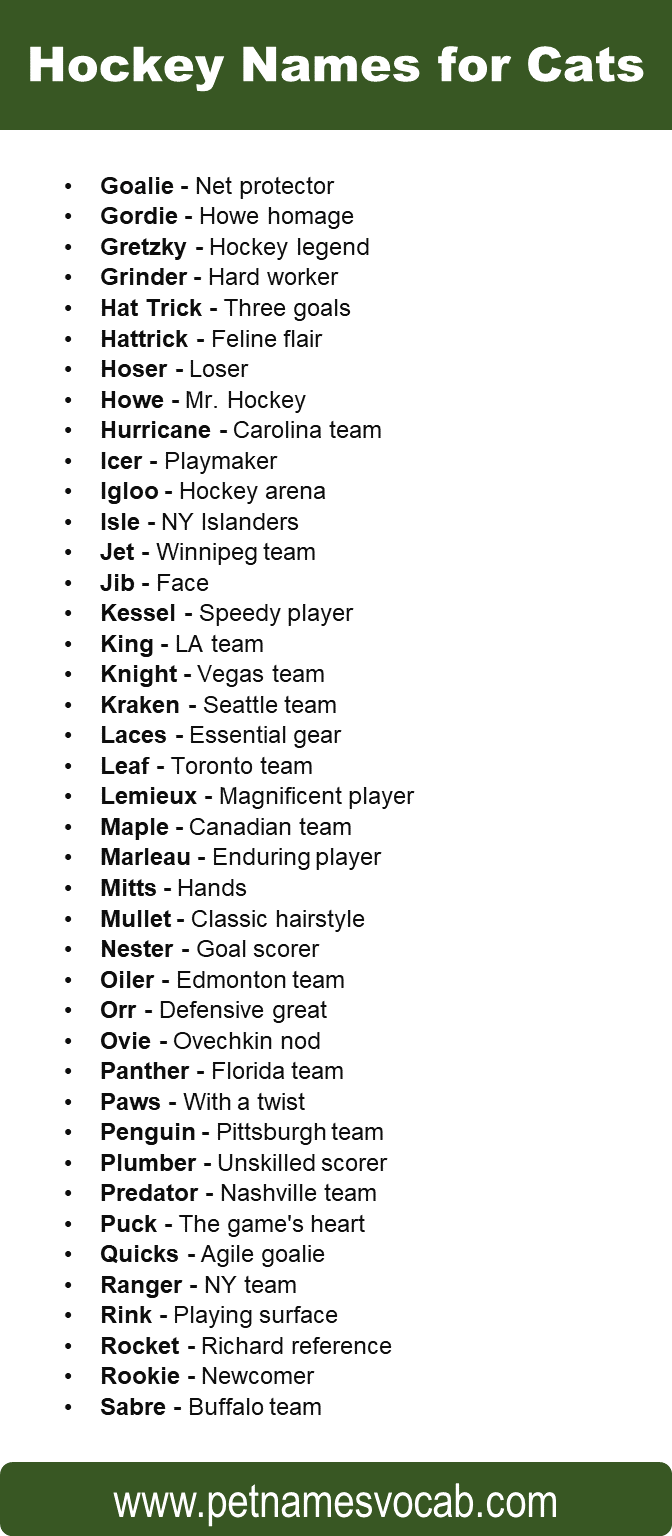 Hockey Names for Cats