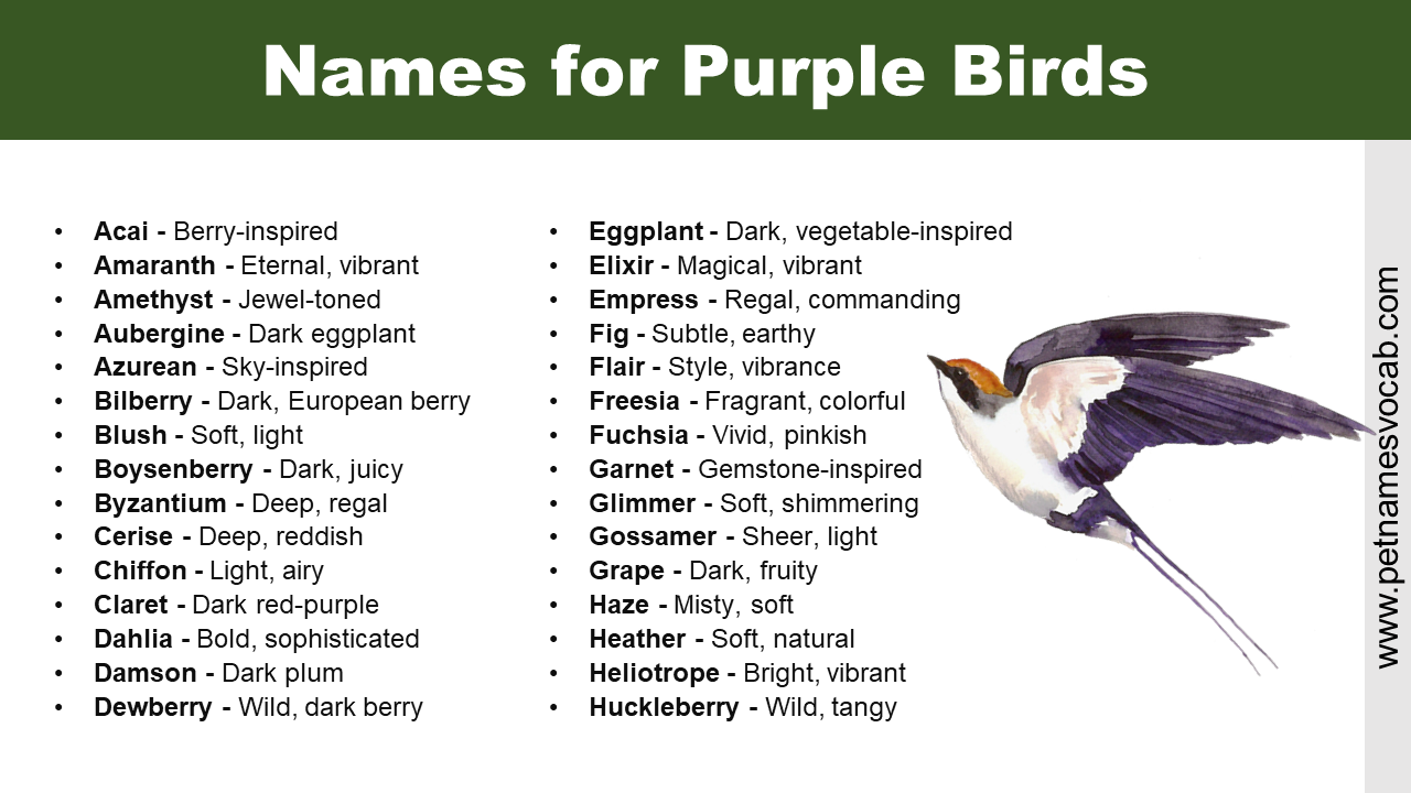 Names for Purple Birds