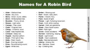 Names for Robin