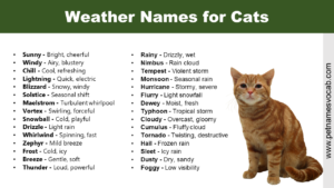 Weather Names for Cats