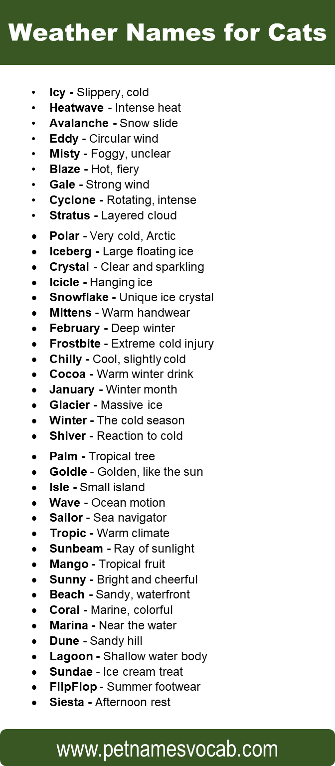 Weather Names for Cats