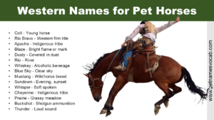 Western Names for Horses
