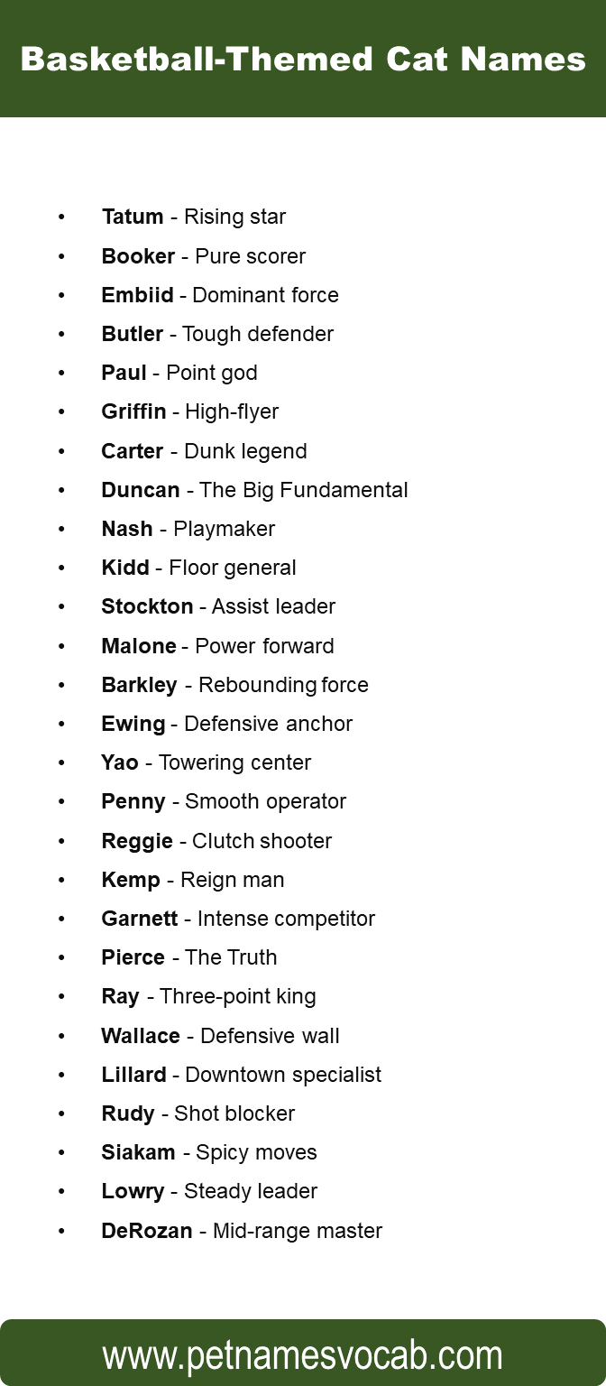 Basketball Cat Names