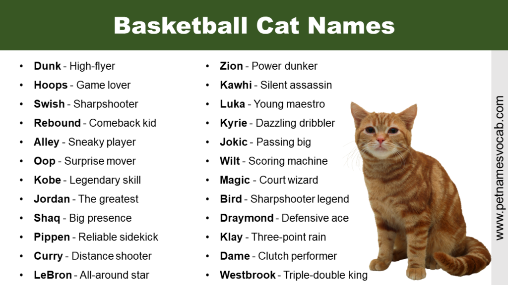 art-names-for-cats-with-meaning-pet-names-vocab