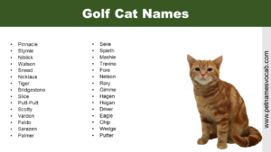 Golf Cat Names