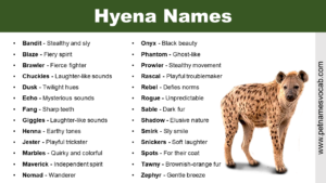 Hyena Names