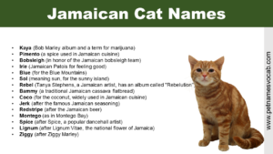 Jamaican Cat Names
