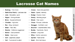 Lacrosse Cat Names