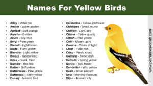 Names For Yellow Birds