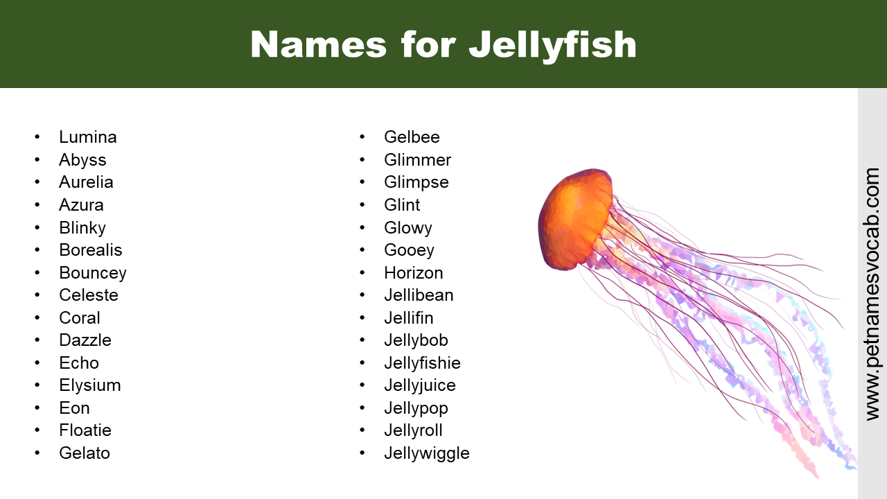 Names for Jellyfish
