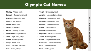 Olympic Cat Names