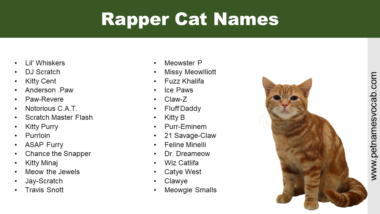 Rapper Cat Names