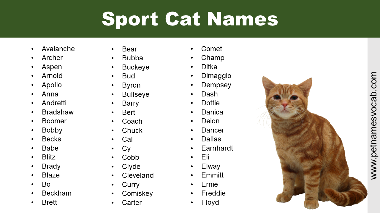 Sport Cat Names