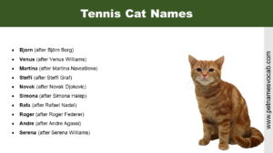 Tennis Cat Names