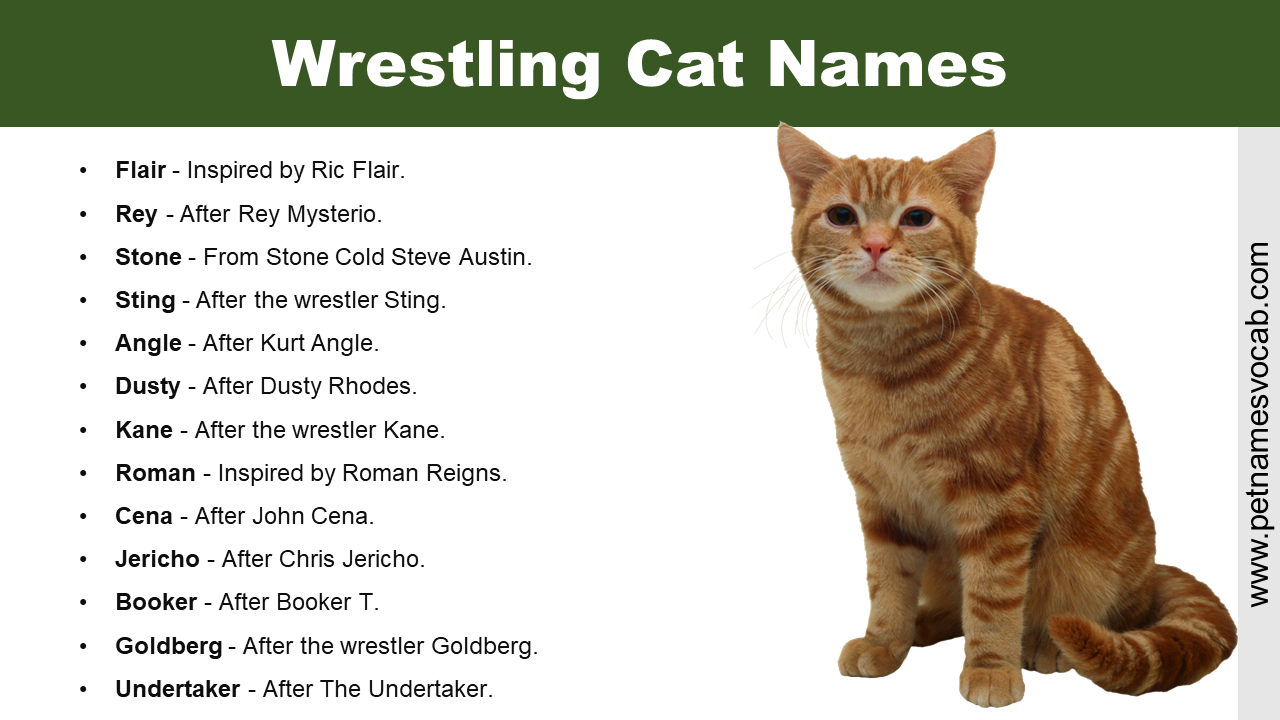 Wrestling Cat Names