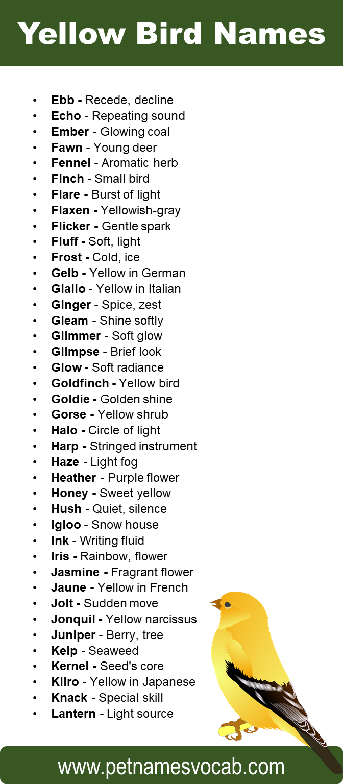Yellow Bird Names