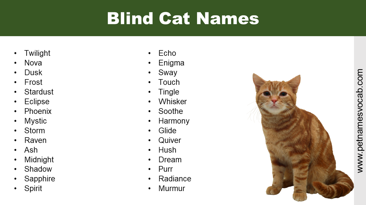 blind cat names