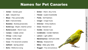 canaries names