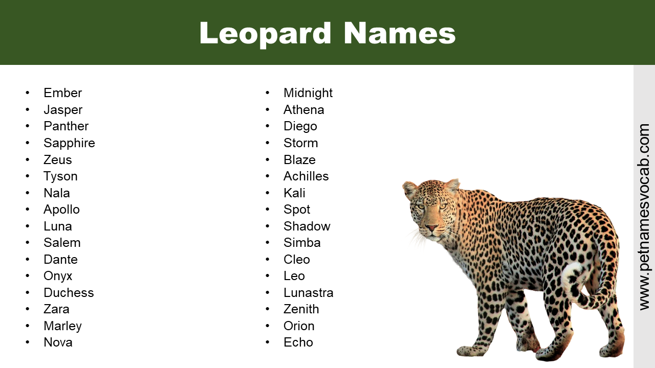 Leopard Names