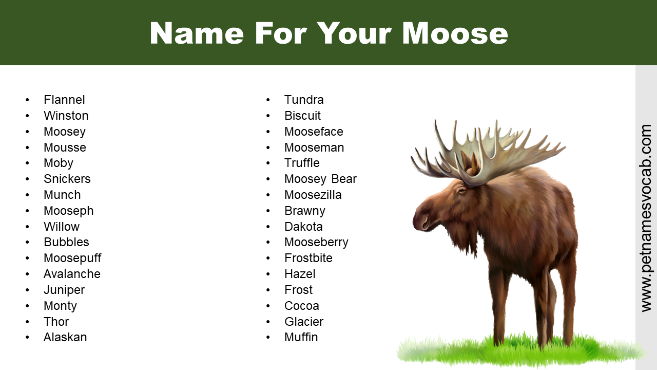 Name For Moose