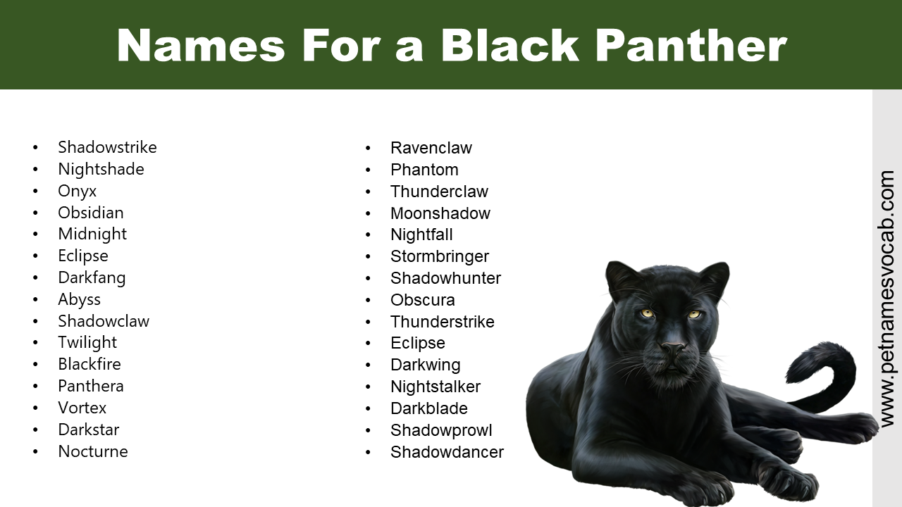 Names For a Black Panther
