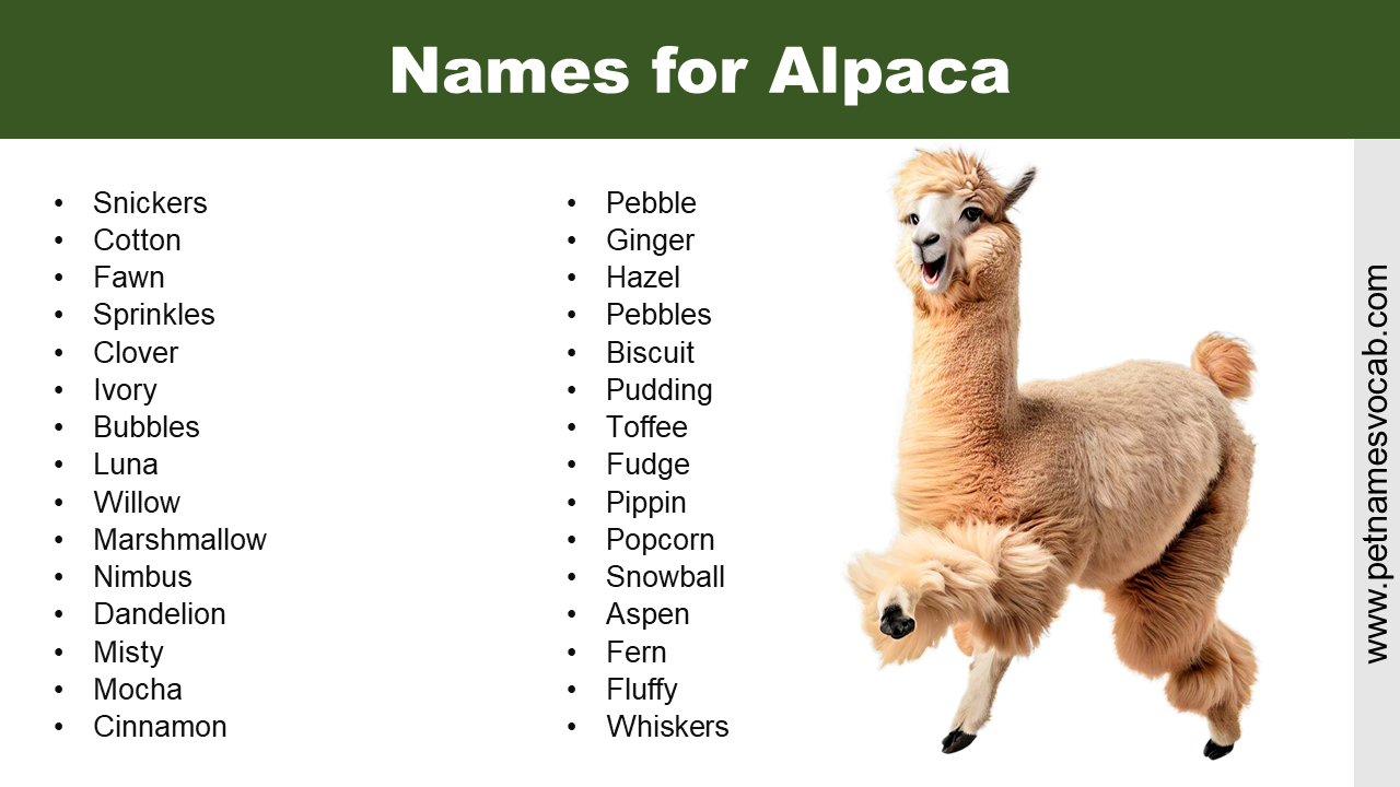 Names for Alpaca