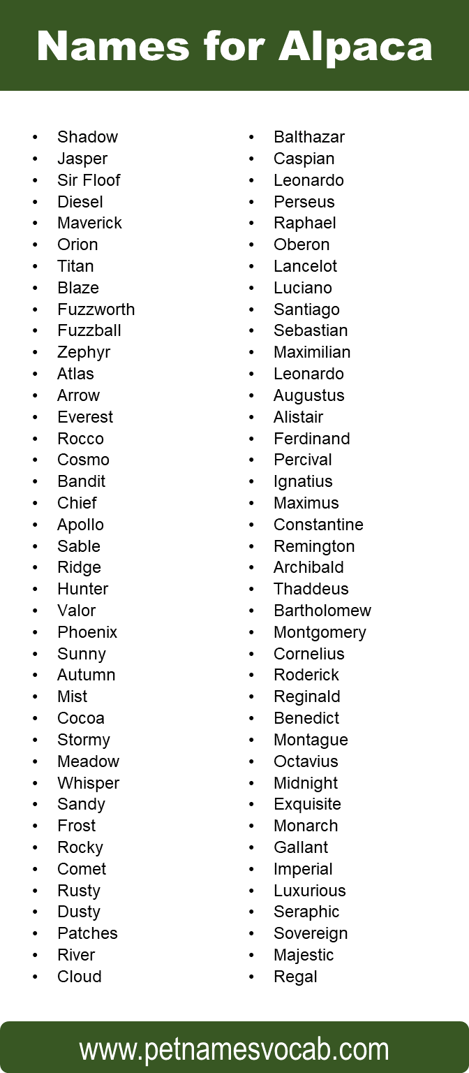 Names for Alpaca
