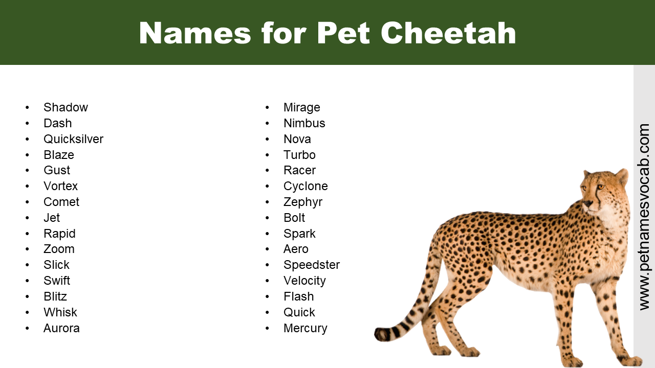 Names for Cheetah