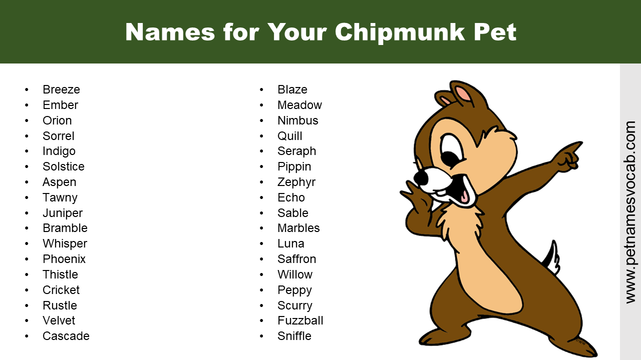 Names for Chipmunk