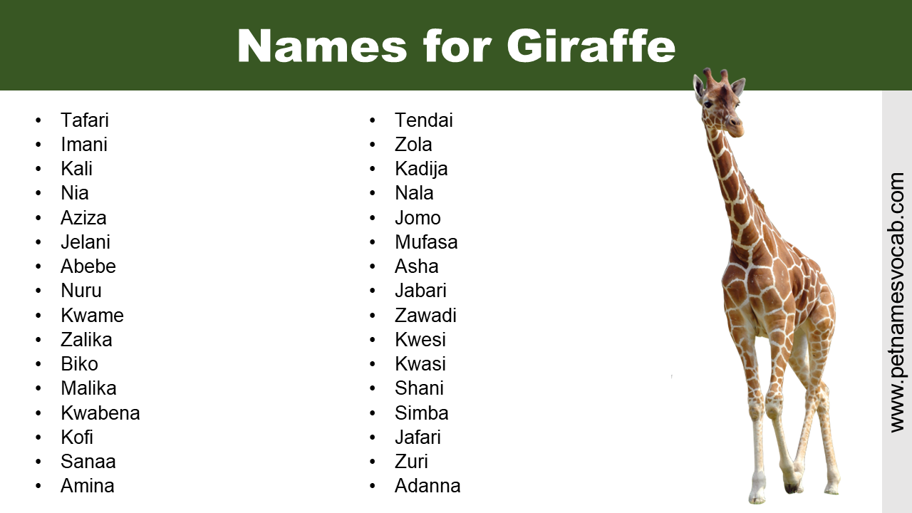 Names for Giraffe