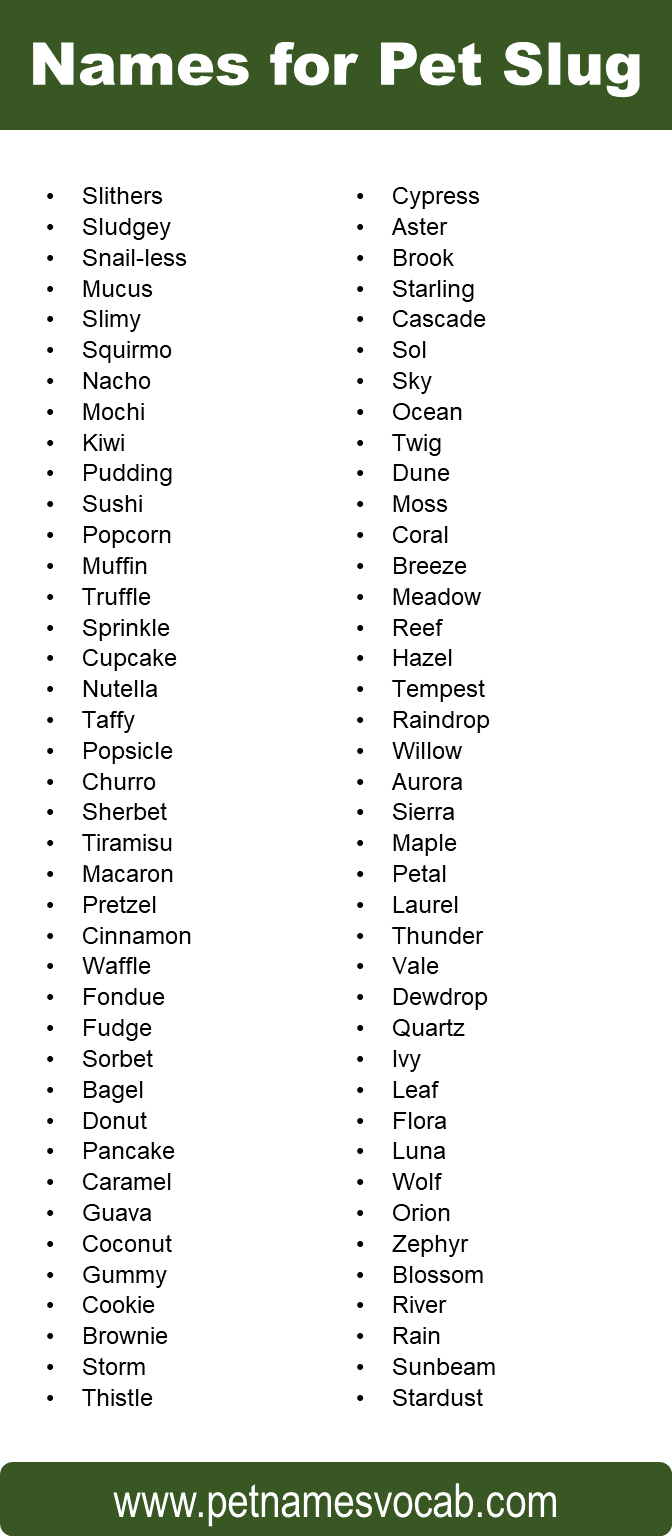 Names for Slug