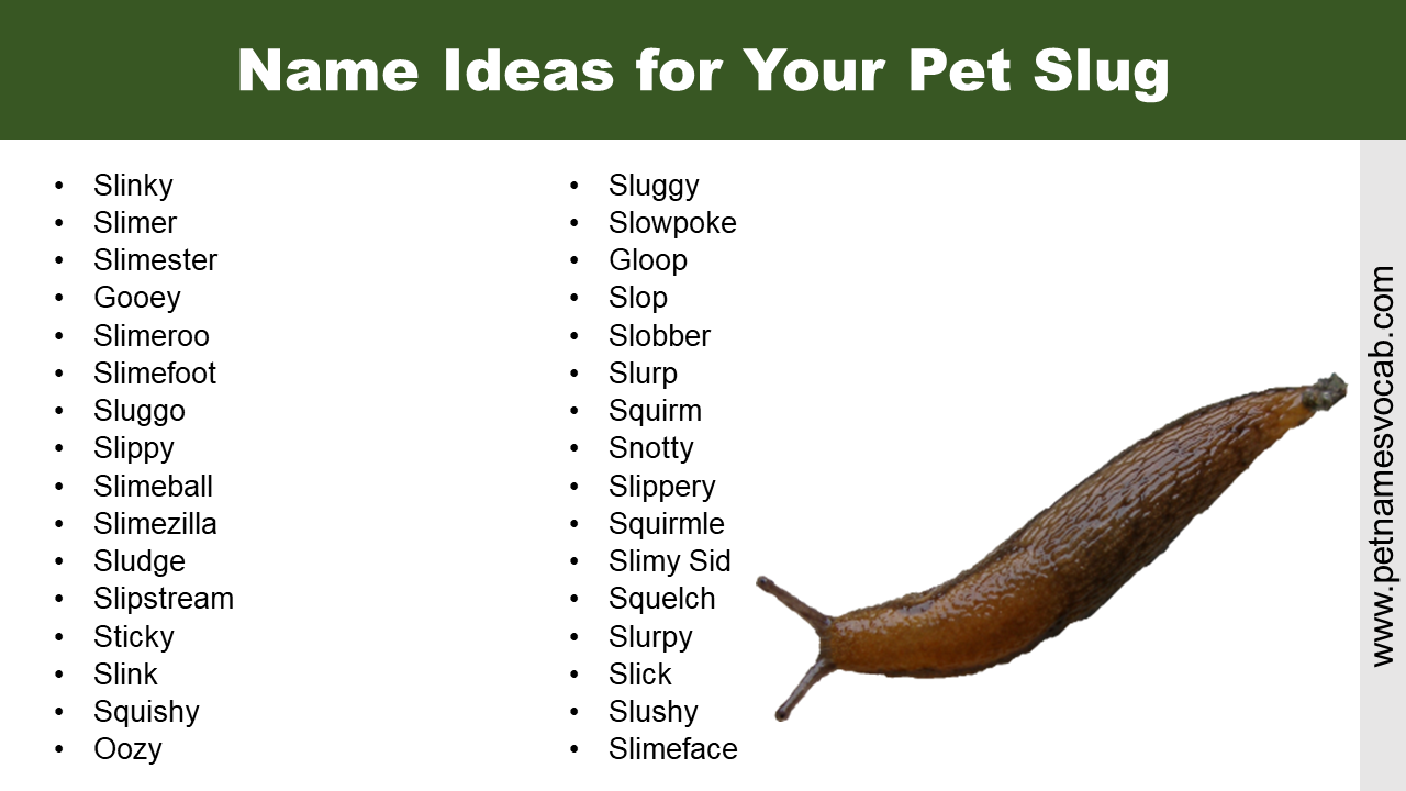Names for Slug