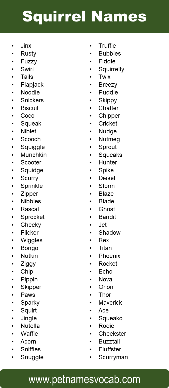 Names for Squirrel