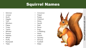 Squirrel Names