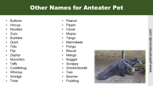Names for Anteater