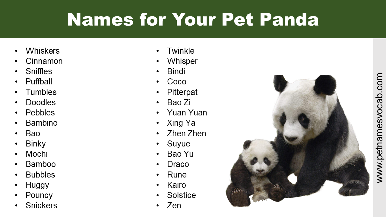 Names for Panda