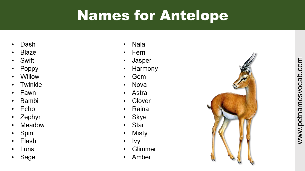 Names for Antelope