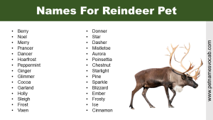 Names for Reindeer