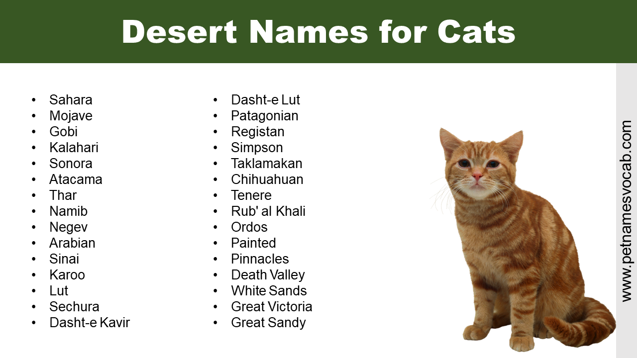 Desert Names for Cats