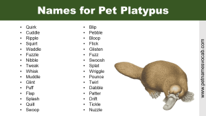 Names for Platypus