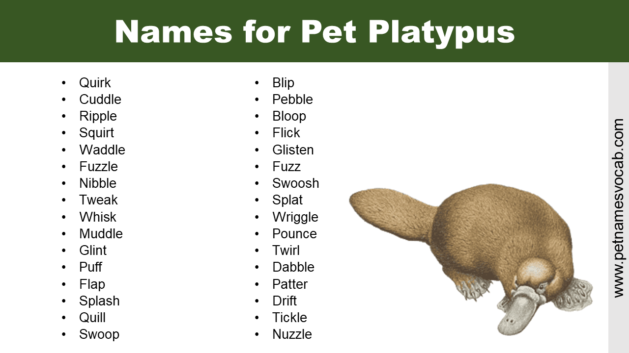 Names for Platypus