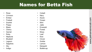 Names for Betta Fish